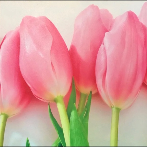 Meet your Posher, MzOrangie - Picture 1 of 3